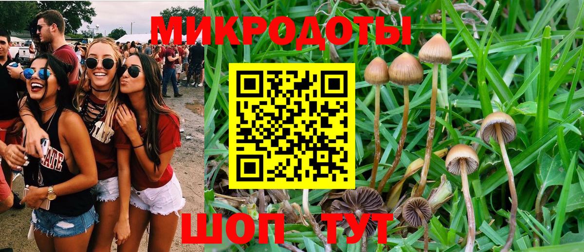Псилоцибиновые грибы мухоморы Мурино