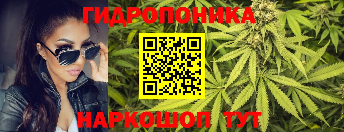 МАРИХУАНА гибрид  Конопля VHQ  Мурино  Канабис MAZAR  Вход с VPN  Канабис MAZAR 